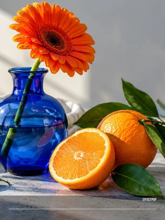 Original EffectPop still-life sample before the freeze effect